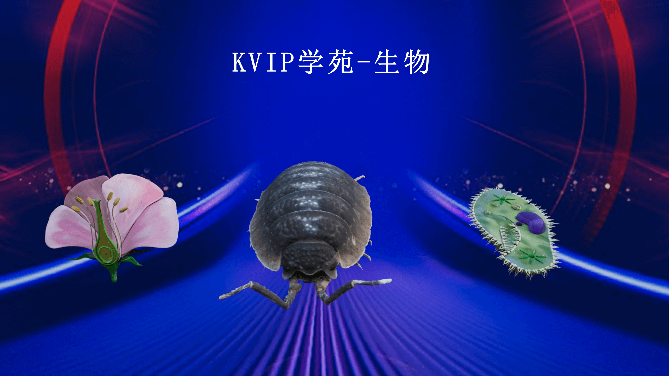 KVIP-生物